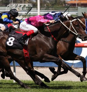 Melbourne Cup Horse Racing Melbourne Australia