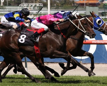 Melbourne Cup Horse Racing Melbourne Australia