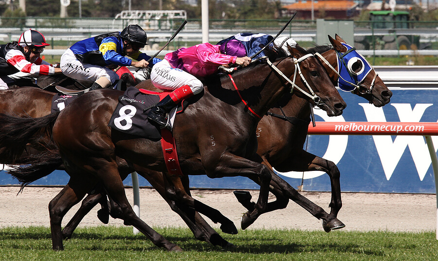 Melbourne Cup Horse Racing Melbourne Australia