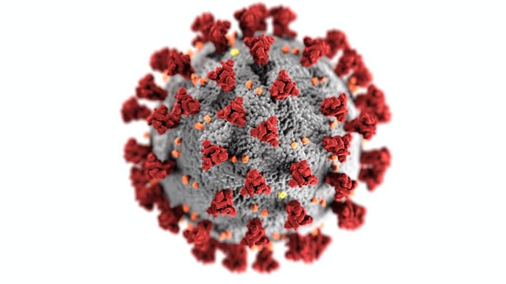 covid19 virus