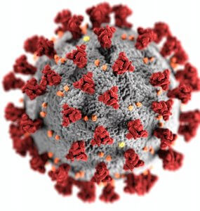 covid19 virus