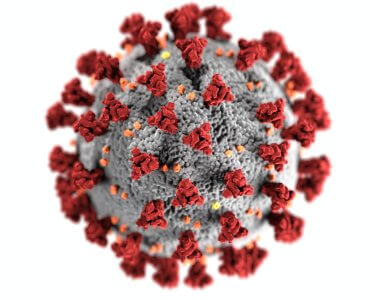 covid19 virus